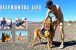 Real-Time Update | Nude February Fun w/Dogs | Smashed Solar | Playing Mechanic - FullFrontal.Life